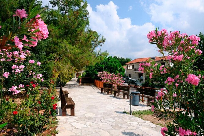100% Cyprus - Tour to Troodos mountains and villages (From Paphos) - Key details that shape the day