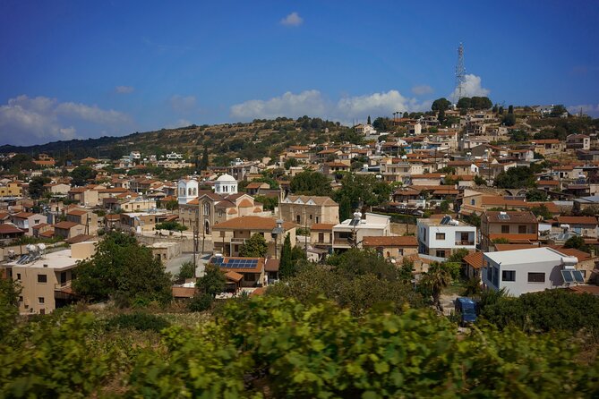 100% Cyprus - Tour to Troodos mountains and villages (From Paphos) - What the minibus and guide setup mean for you
