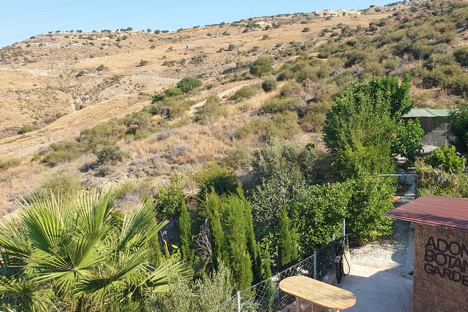 2-Hour Botanic Garden Tour in Akoursos - Walking Through Herbs, Trees, and Village Relics