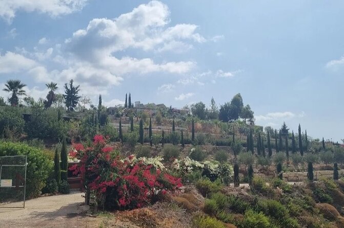 2-Hour Botanic Garden Tour in Akoursos - Swimming Beside the Waterfalls and Adonis Cave
