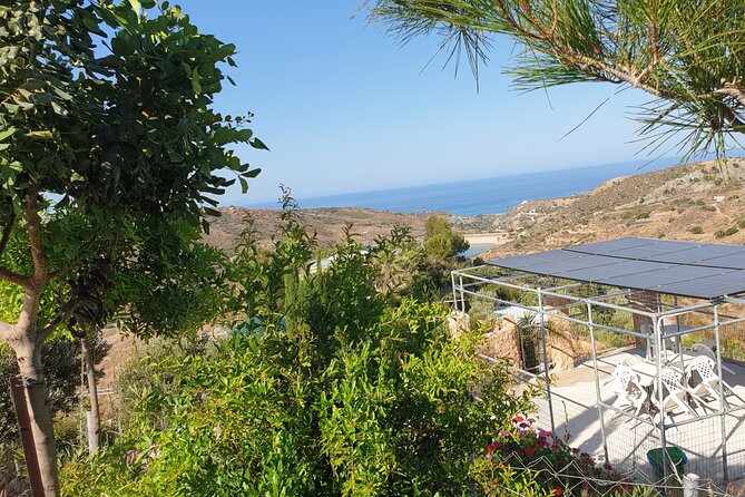 2-Hour Botanic Garden Tour in Akoursos - Finishing in the Garden Shop