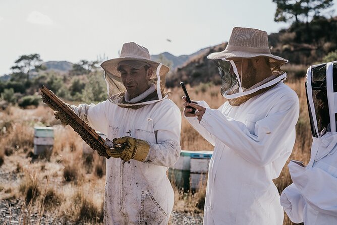 30-Minute Guided Honey Tasting Activity in Melini - Key points at a glance