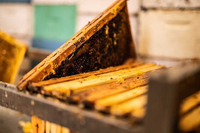 30-Minute Guided Honey Tasting Activity in Melini - Meeting the bees through film and games