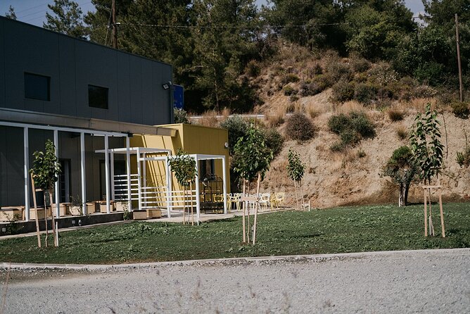 30-Minute Guided Honey Tasting Activity in Melini - Watching honey go from tank to bottle