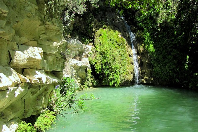 4 hour Quad & Buggy Safari Akamas(lara Bay) & Adonis Falls - What this Akamas safari actually feels like