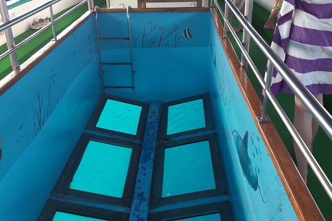 90-Minutes Glass Bottom Trip With Quick Dip - The Vera K. shipwreck after 20 minutes