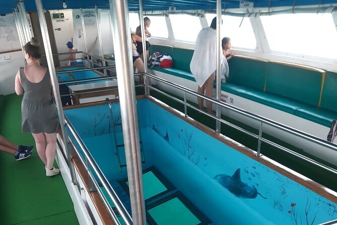 90-Minutes Glass Bottom Trip With Quick Dip - Sea sponges and what lies below