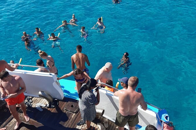 90-Minutes Glass Bottom Trip With Quick Dip - Looking through nearly 20 square meters of glass