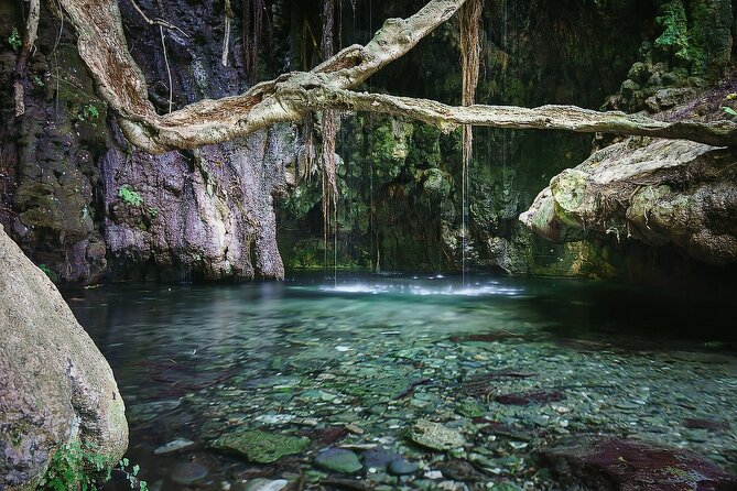 Akamas, Baths of Aphrodite and Blue Lagoon Day Tour from Paphos - Latchi Port: the practical heart of the day