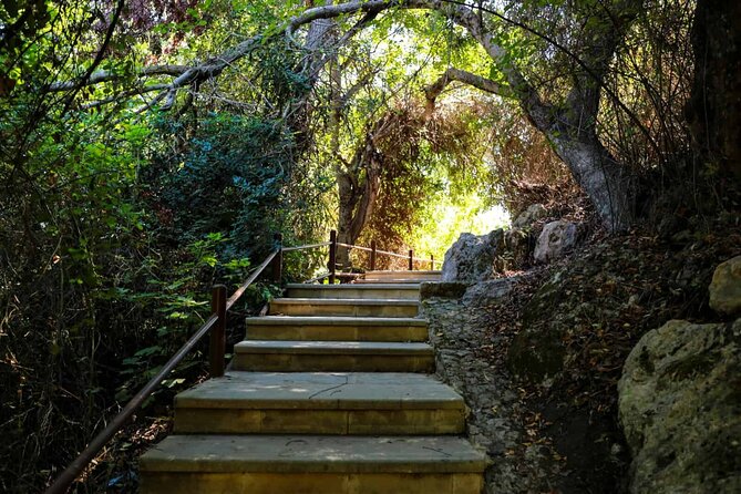 Akamas, Baths of Aphrodite and Blue Lagoon Day Tour from Paphos - How the schedule feels in real use