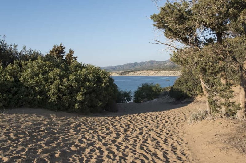 Akamas Jeep Safari Tour from Paphos - The guides can shape the whole day