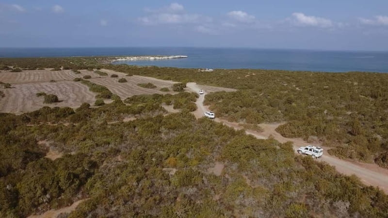 Akamas Jeep Safari Tour from Paphos - Avakas Gorge: a short walk with real character