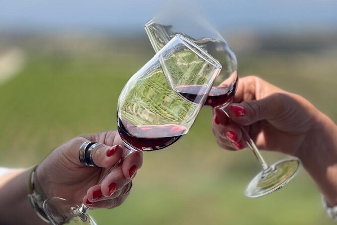 Akamas Wine Experience – All Inclusive Wine Tour - Feeding donkeys at Trakkos Farm