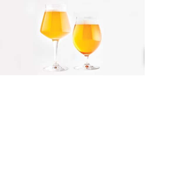 AMMOCHOSTOS VIP -Craft Brewery Tasting & Cypriot Food Trip - Who should book this experience?