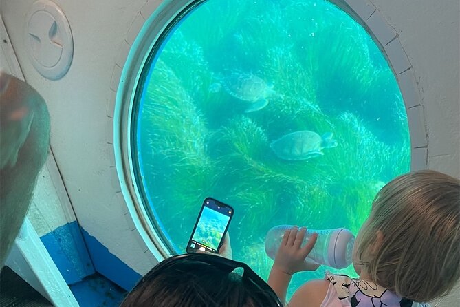 Atlantis Turtle Watching Cruise & Snorkelling Adventure - Key points to know before you book