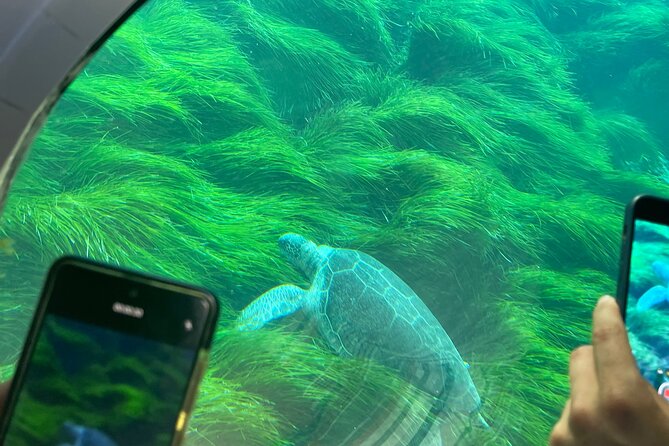Atlantis Turtle Watching Cruise & Snorkelling Adventure - Returning to Paphos with a sunset view