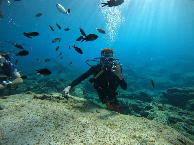 Ayia Napa: Beginners Discover Scuba Diving Experience - What the four-hour outing is really like
