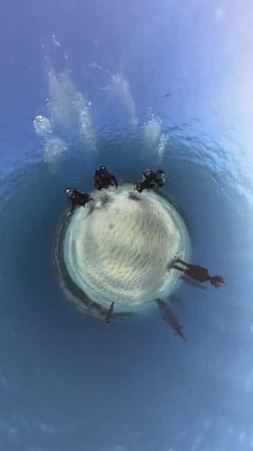 Ayia Napa: Musan Underwater Museum Scuba Dive - A calm briefing before you put on the equipment