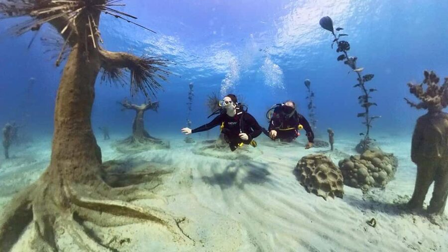 Ayia Napa: Musan Underwater Museum Scuba Dive - Who should book this experience?