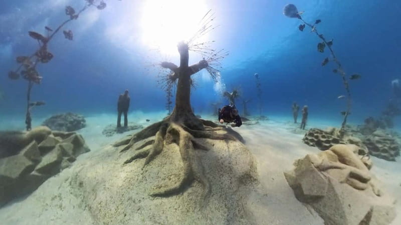 Ayia Napa: Musan Underwater Museum Scuba Dive - Useful details for a smoother morning