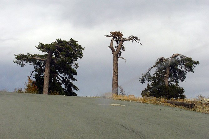 Beauty, Nature and Charm of Troodos Mountains from Paphos - Why this Troodos day trip is good value at $66.01