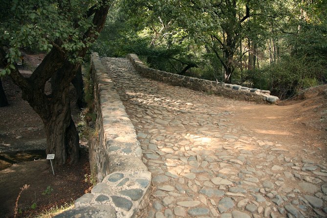 Beauty, Nature and Charm of Troodos Mountains from Paphos - Millomeris Waterfall rewards a short forest walk
