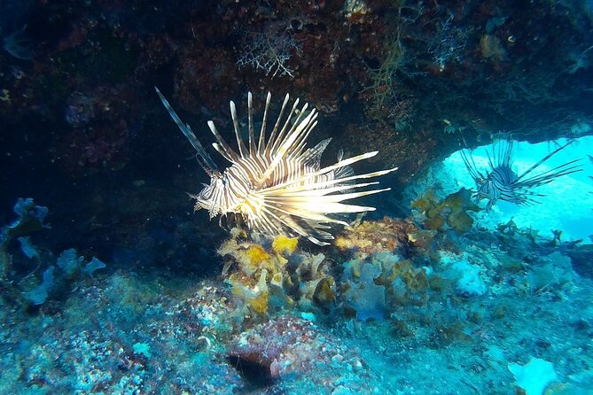 Beginners Discover Scuba Diving By Boat, Best Spot In Cyprus - Starting at Latchi with the basics covered