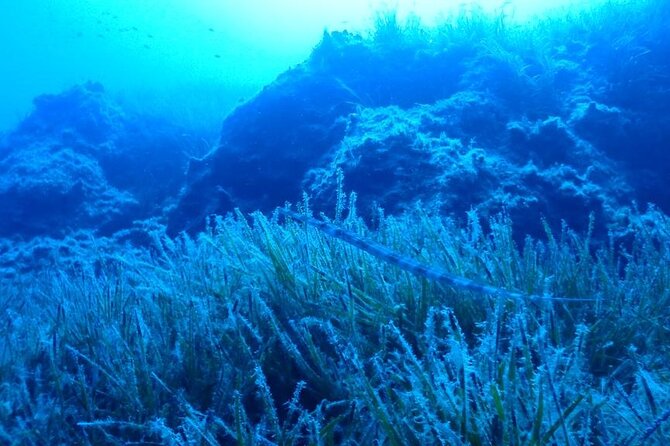 Beginners Discover Scuba Diving By Boat, Best Spot In Cyprus - Water temperature and physical comfort