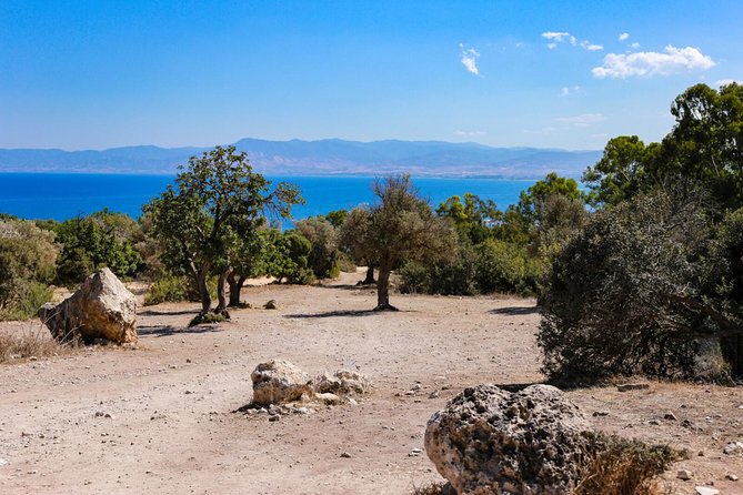 Blue Lagoon and Aphrodite’s Birthplace Day Tour from Limassol - The Blue Lagoon is the reason to book