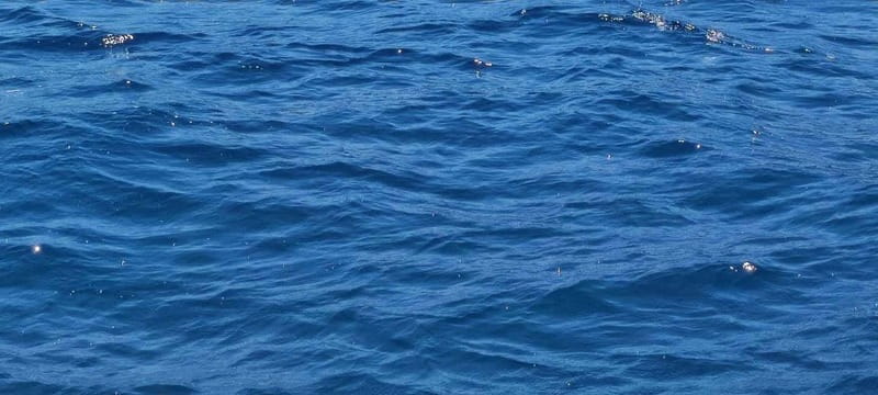 Blue Lagoon Latchi, coach transfer+boat trip, Half day trip - Seeing Akamas from the sea