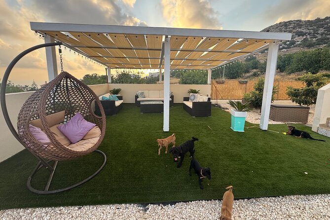 Coffee Cake and Cuddles with Rescue Puppies in a Sea View Villa - Why the eight-person limit matters