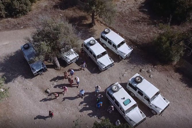 Cruise and 4X4 Safari Tour at Akamas Peninsula from Paphos - Why the Akamas Peninsula works so well as a day trip