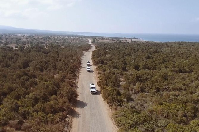 Cruise and 4X4 Safari Tour at Akamas Peninsula from Paphos - Lara Bay and the turtle conservation area