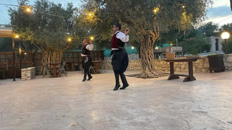 Cypriot Traditions and Donkey Adventures - Why this farm evening is worth your time