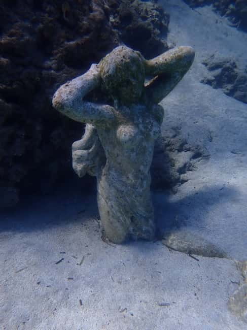 Cyprus: Introductory Scuba Lesson and Dive with Transfer - The 20 to 30 Minute Scuba Lesson