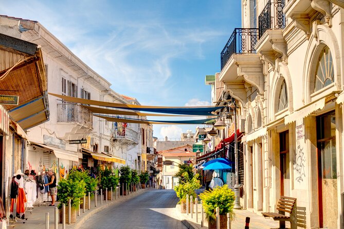 Cyprus’s History and Charm Full-Day Private Tour from Paphos - Why this private Paphos day works well