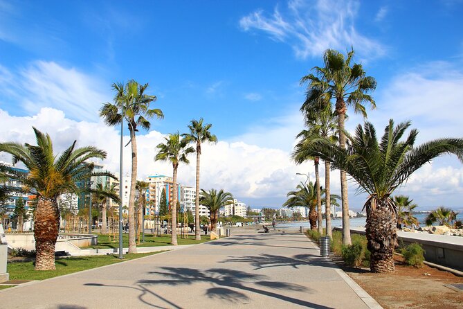 Cyprus’s History and Charm Full-Day Private Tour from Paphos - Who will enjoy this day most