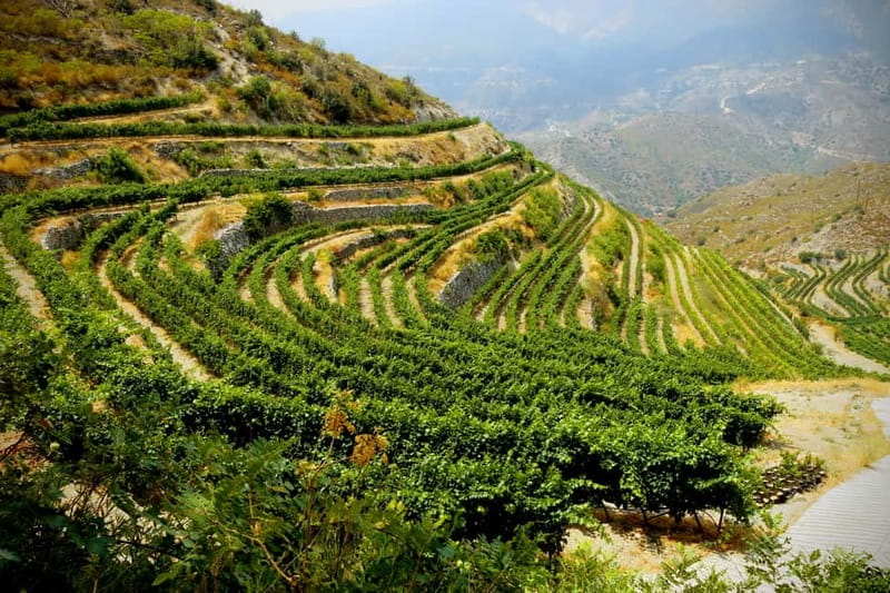 Cyprus: Troodos Mountain Wine Tour with a Local - Key Points Before You Book