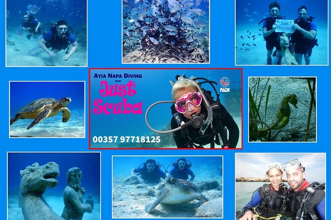 Discover Scuba diving - Key points before you book