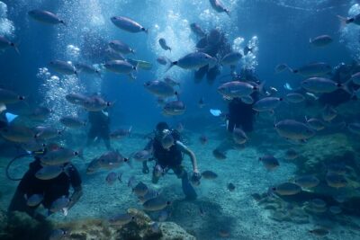 Discover Scuba diving