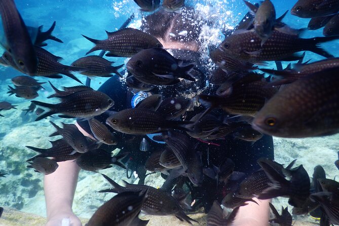 Discover Scuba diving - Why the six-person limit matters