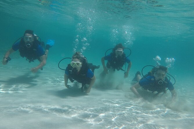 Discover Scuba diving - What you may see beneath the surface