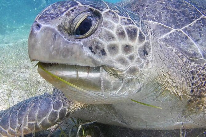 Discover Scuba Diving - The main drawback: weather and a fixed afternoon slot