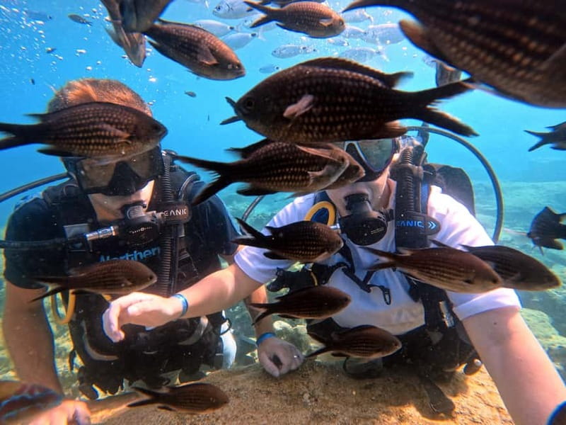Discover Scuba Diving Experience - What your three hours at Green Bay look like