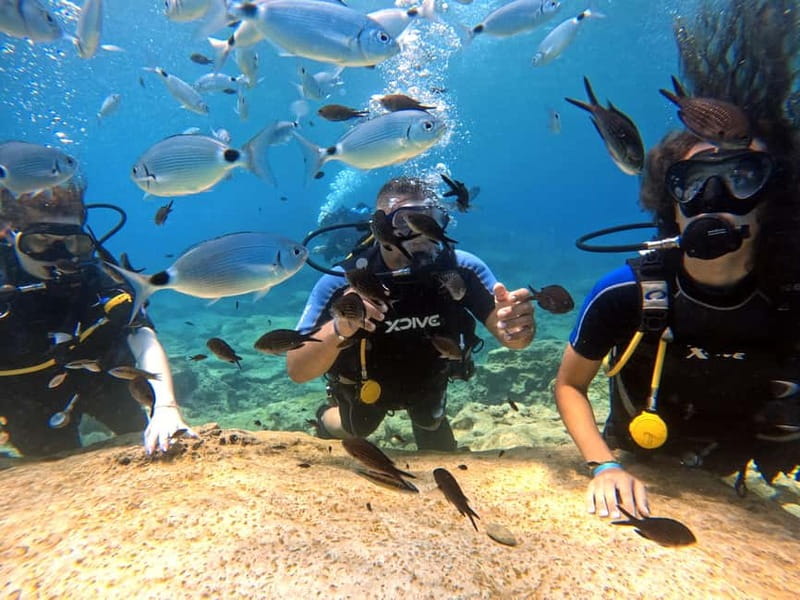 Discover Scuba Diving Experience - Fish Rock and the fish-feeding stop