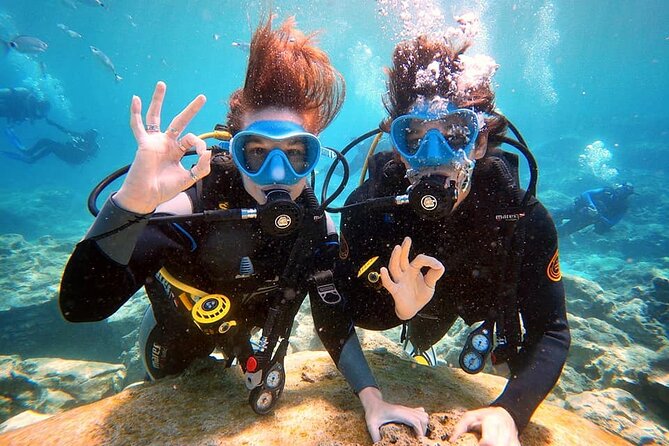 Discover Scuba Diving for Beginners - Key points before you book