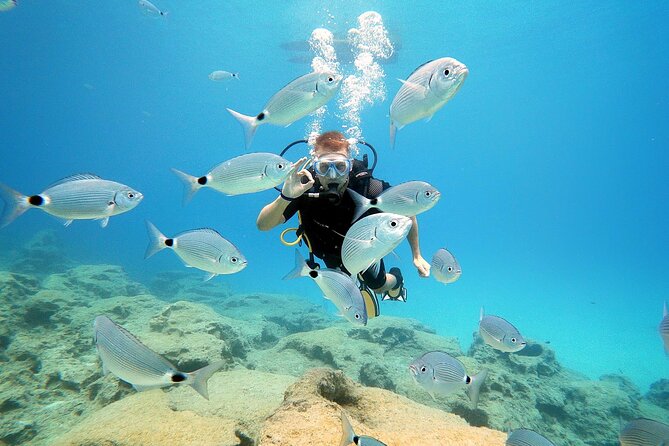 Discover Scuba Diving for Beginners - The 20 to 30 minute briefing