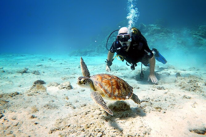 Discover Scuba Diving for Beginners - The main underwater session at Green Bay