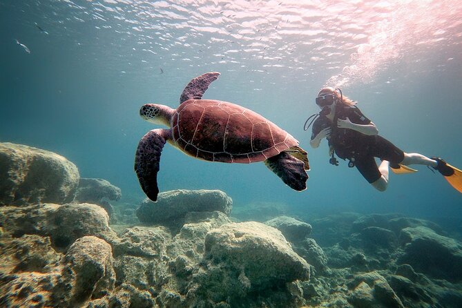 Discover Scuba Diving for Beginners - Is $101.27 good value?
