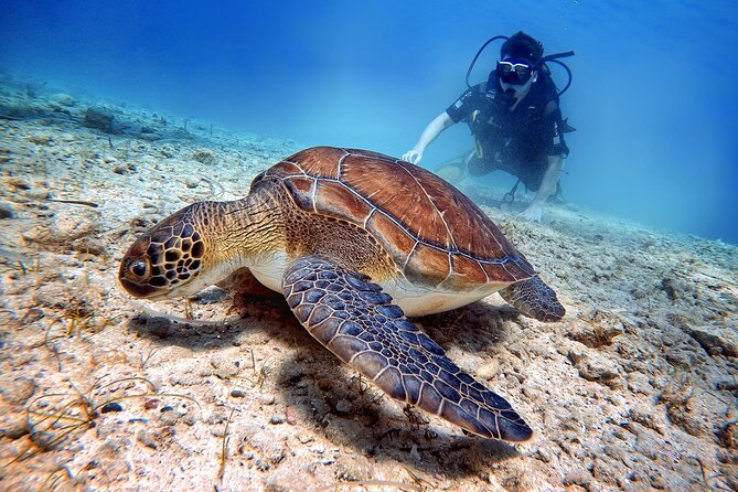 Discover Scuba Diving for Beginners - A simple start at the Easy Divers center